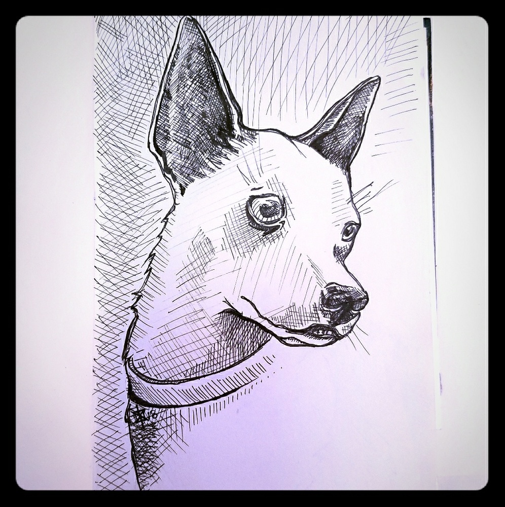 Custom Dog Portrait.